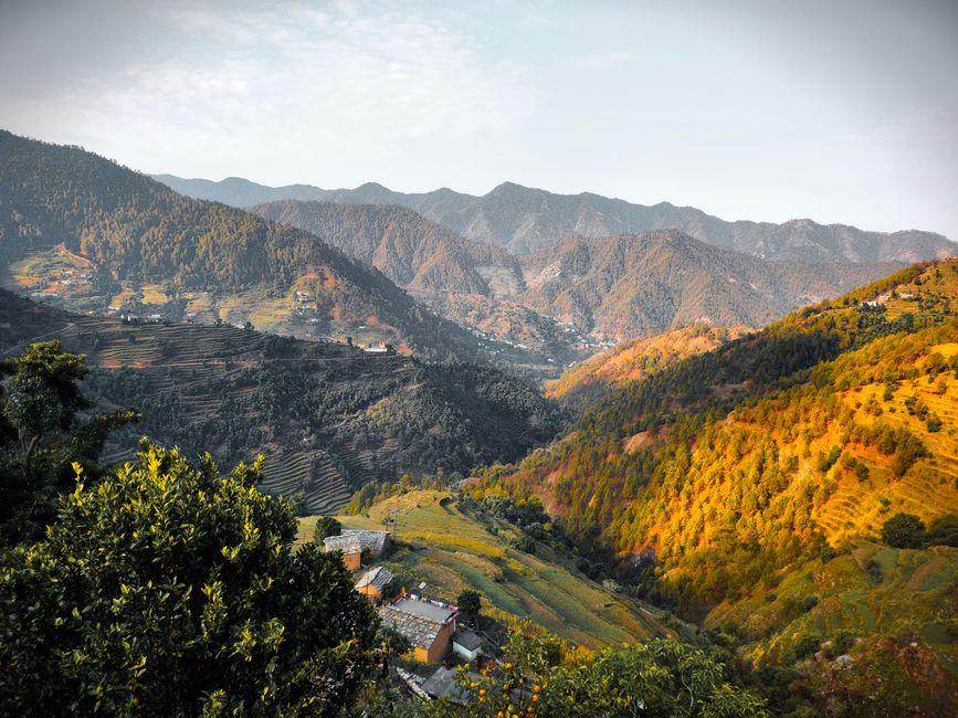 Language Training Centre Scheme in Almora