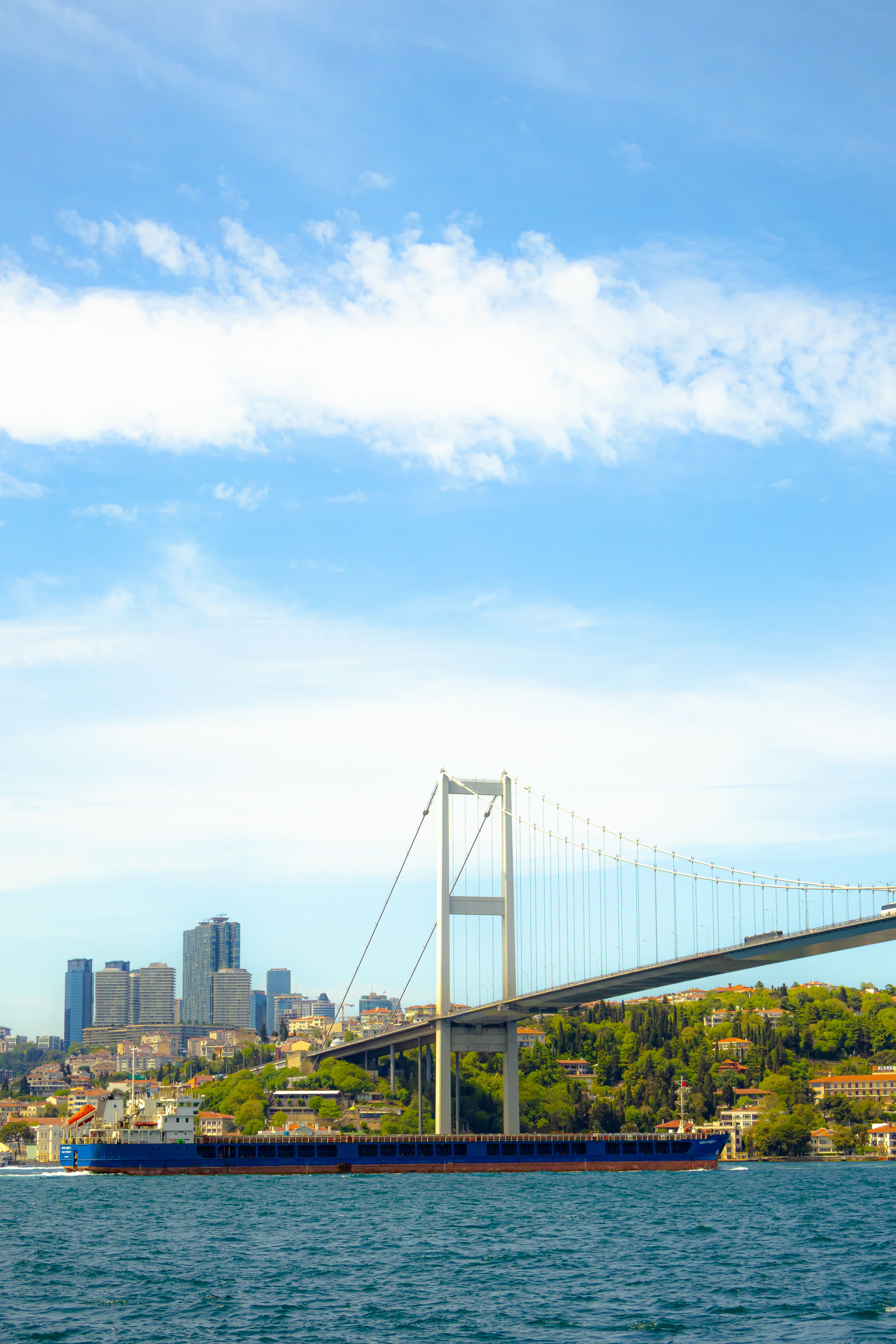 Bosphorus Bridge and Skyline of Istanbul · Free Stock Photo