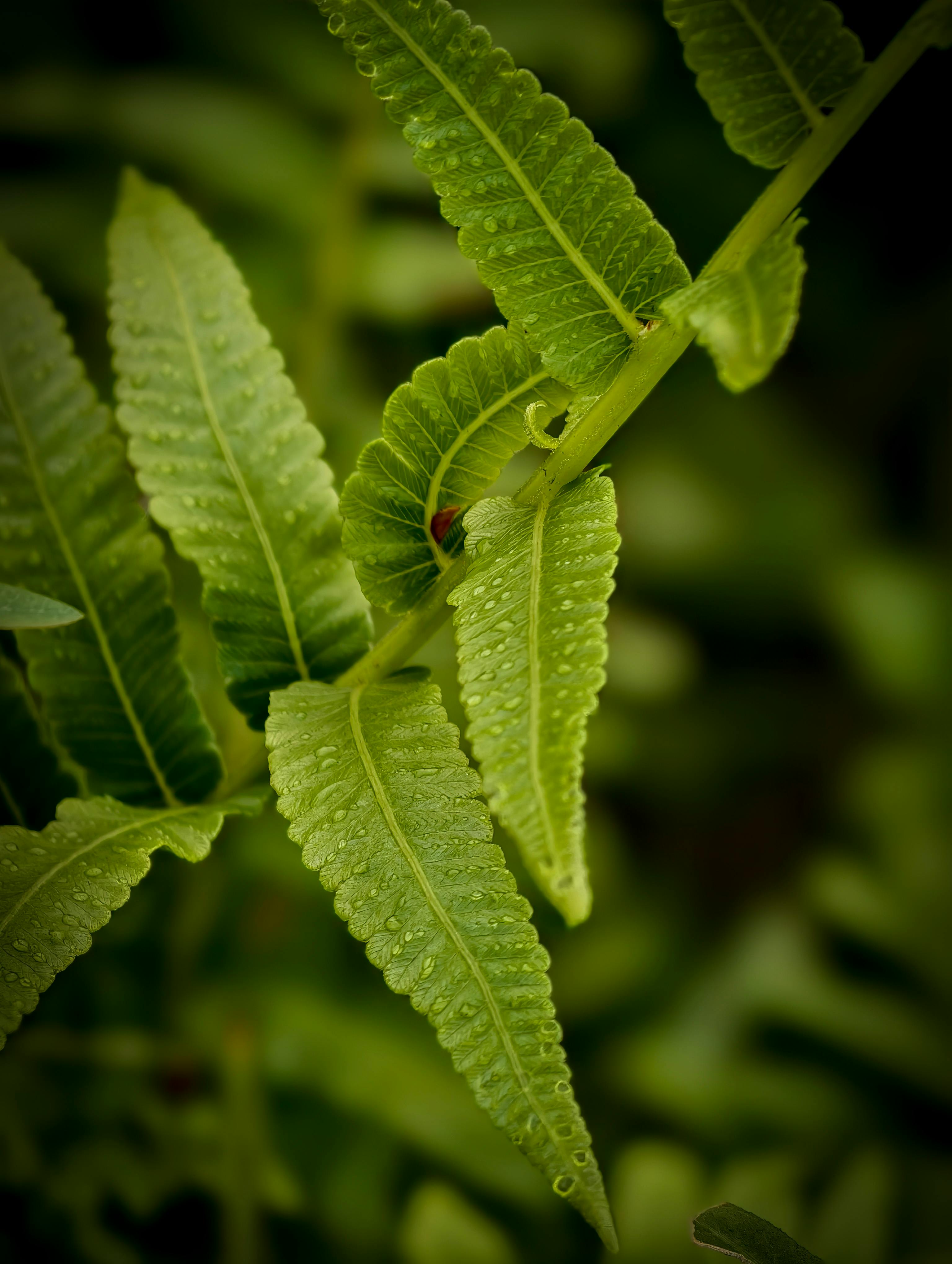 +Popular+Now+On+Bingmm+Images+Free+Download+2023+Free+ Photos, Download ...