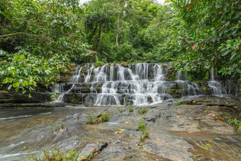 Mantadia National Park