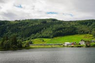 Scenic Train Journey Through Norway's Verdant Landscape