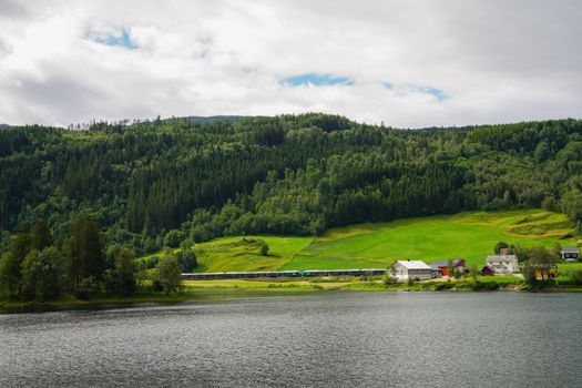 A picturesque view of a train traveling through Norway's lush green countryside near a tranquil lake.