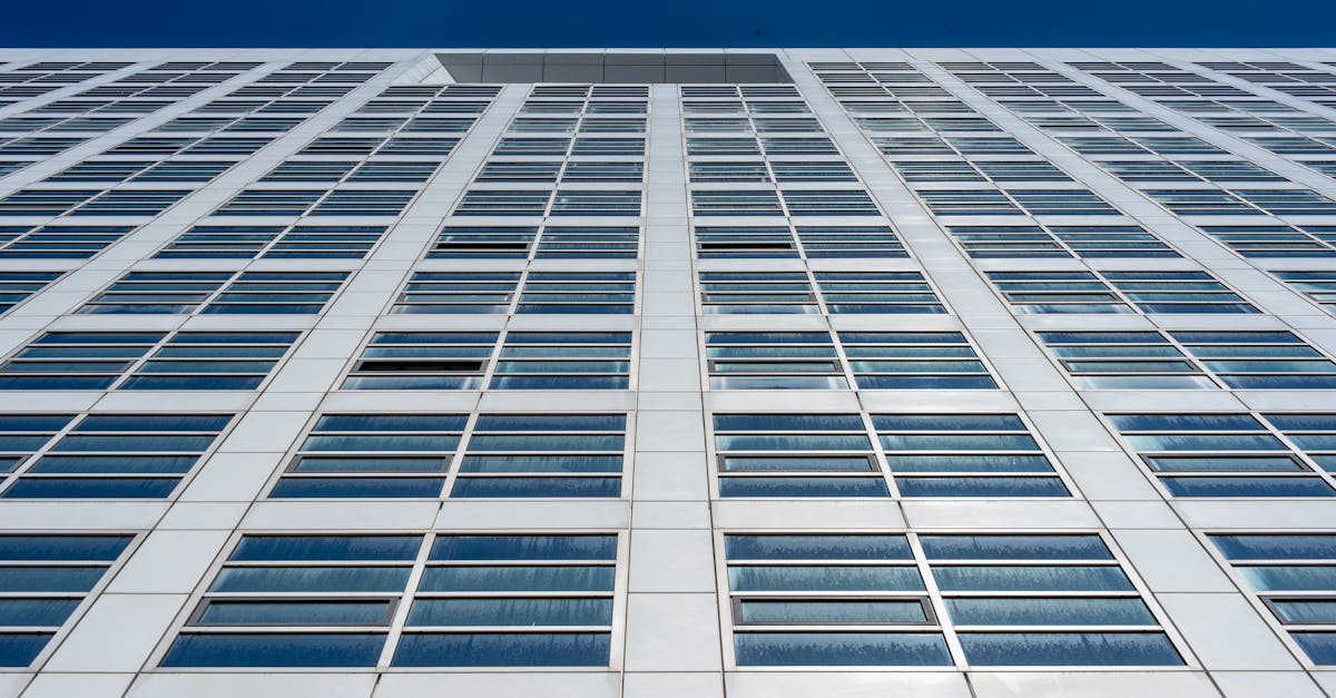 因應高關稅暴風雨 撐傘挺產業,台灣企業如何逆風翻盤?