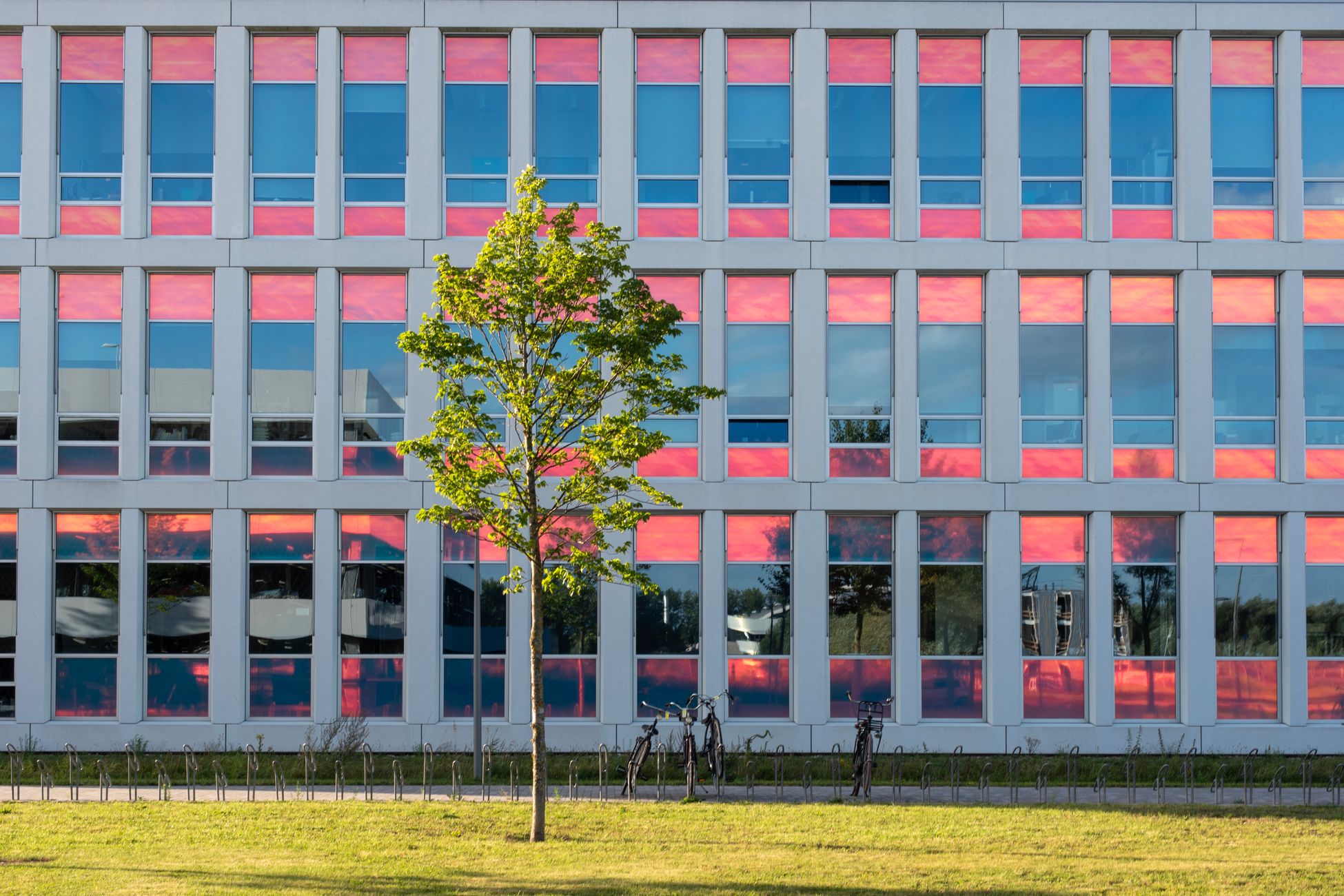 AEX sluit hoger dankzij ASML en ASMI