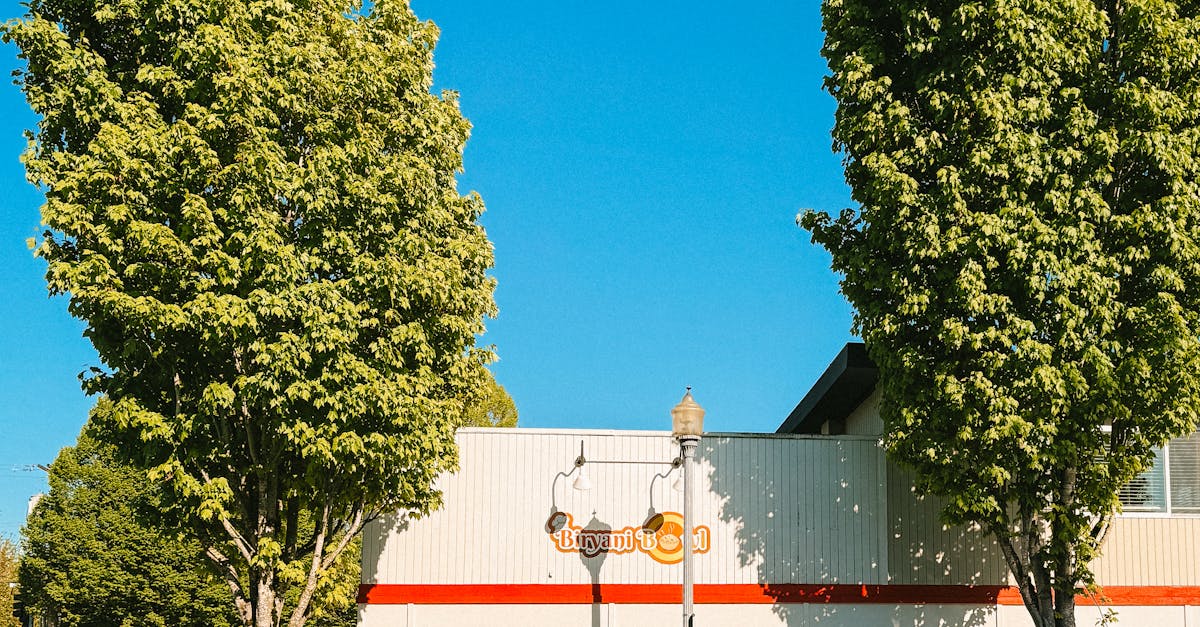 5月15日重要財經行事曆一次看!掌握今日關鍵經濟指標與市場動態