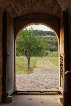 View through a wooden archway of a lush green landscape with a lone tree.