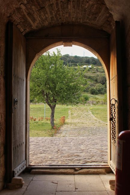 Fotomural Vista a través de un arco de madera de un exuberante paisaje verde con un árbol solitario.