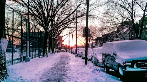 下雪天 的 免費圖庫相片