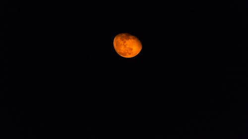 4월, 붉은 달, 오렌지의 무료 스톡 사진