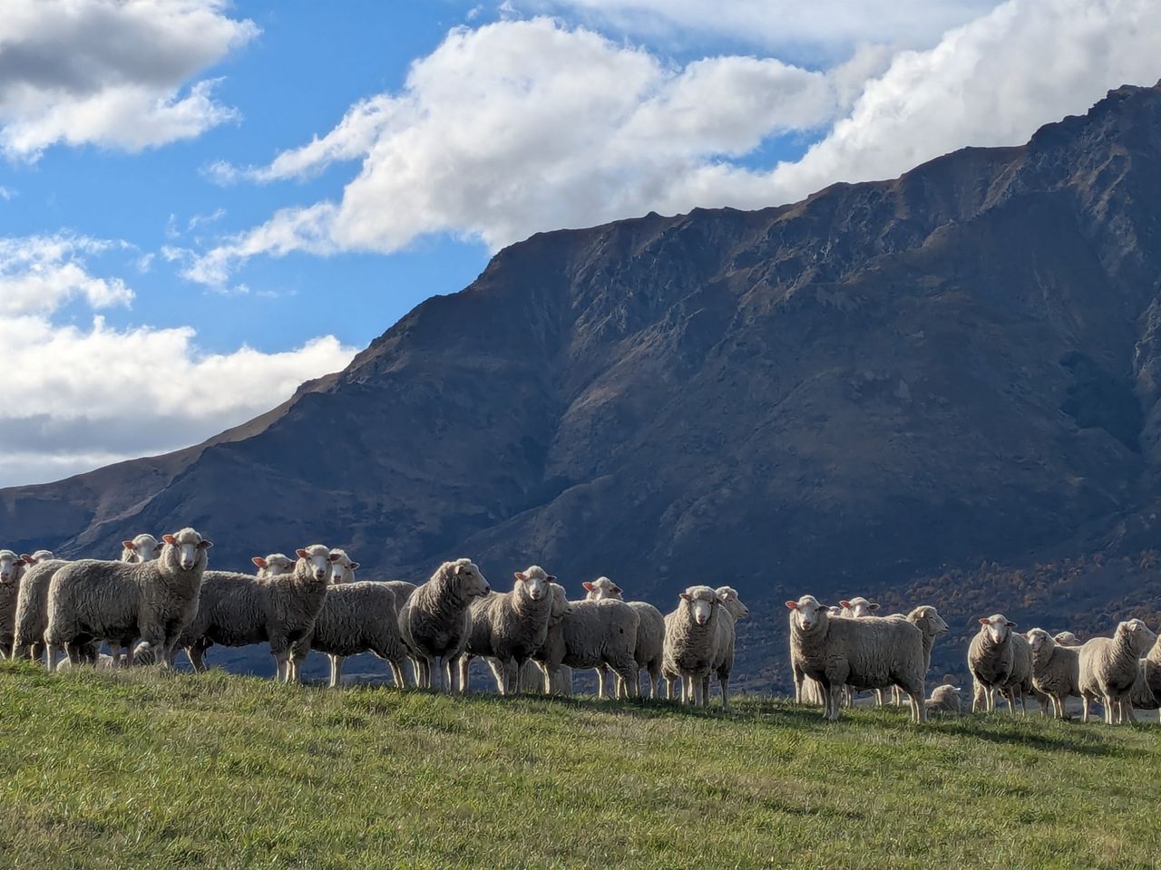 Possum-merino blend accessories