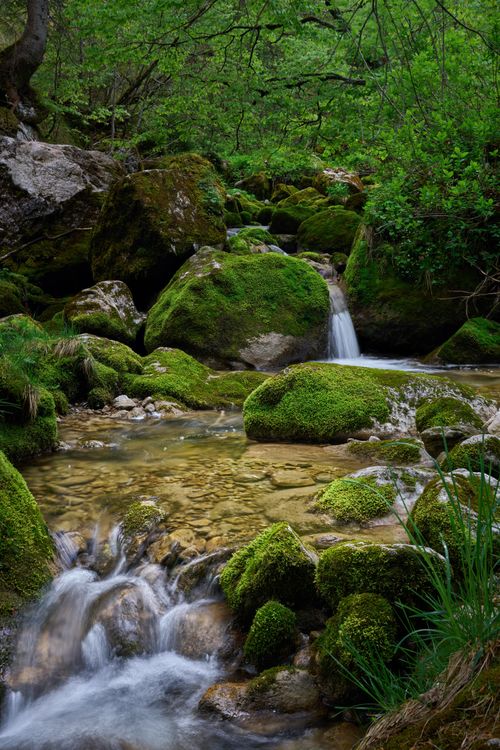 Free Serene alpine stream in Lofer, Austria with mossy rocks and lush greenery. Stock Photo