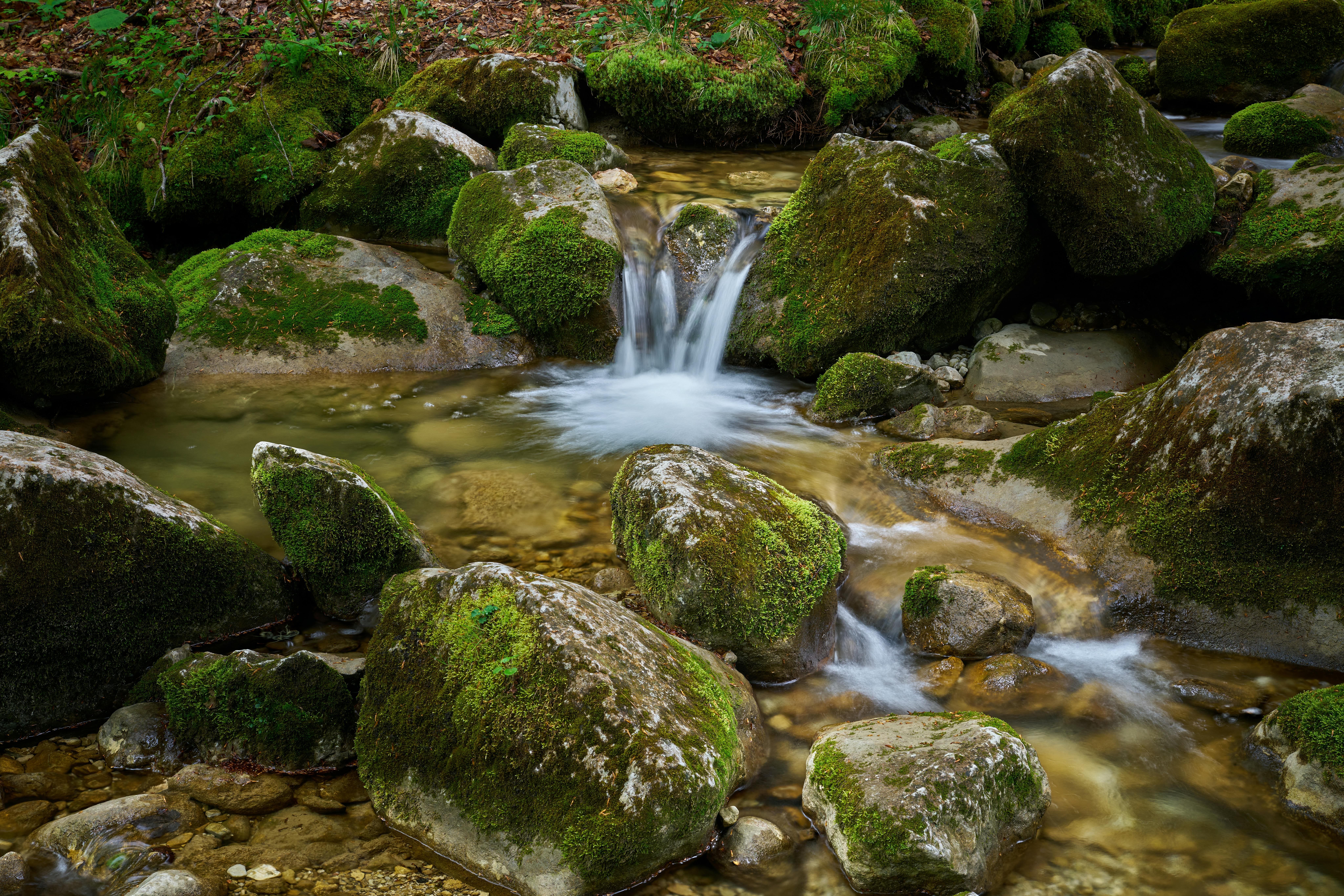Peaceful stream flowing through moss-covered rocks in Lofer, Salzburg, creating a serene natural scene.