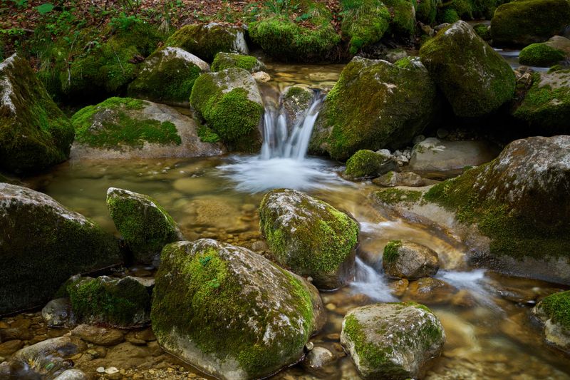 Peaceful stream flowing through moss-covered rocks in Lofer, Salzburg, creating a serene natural scene.