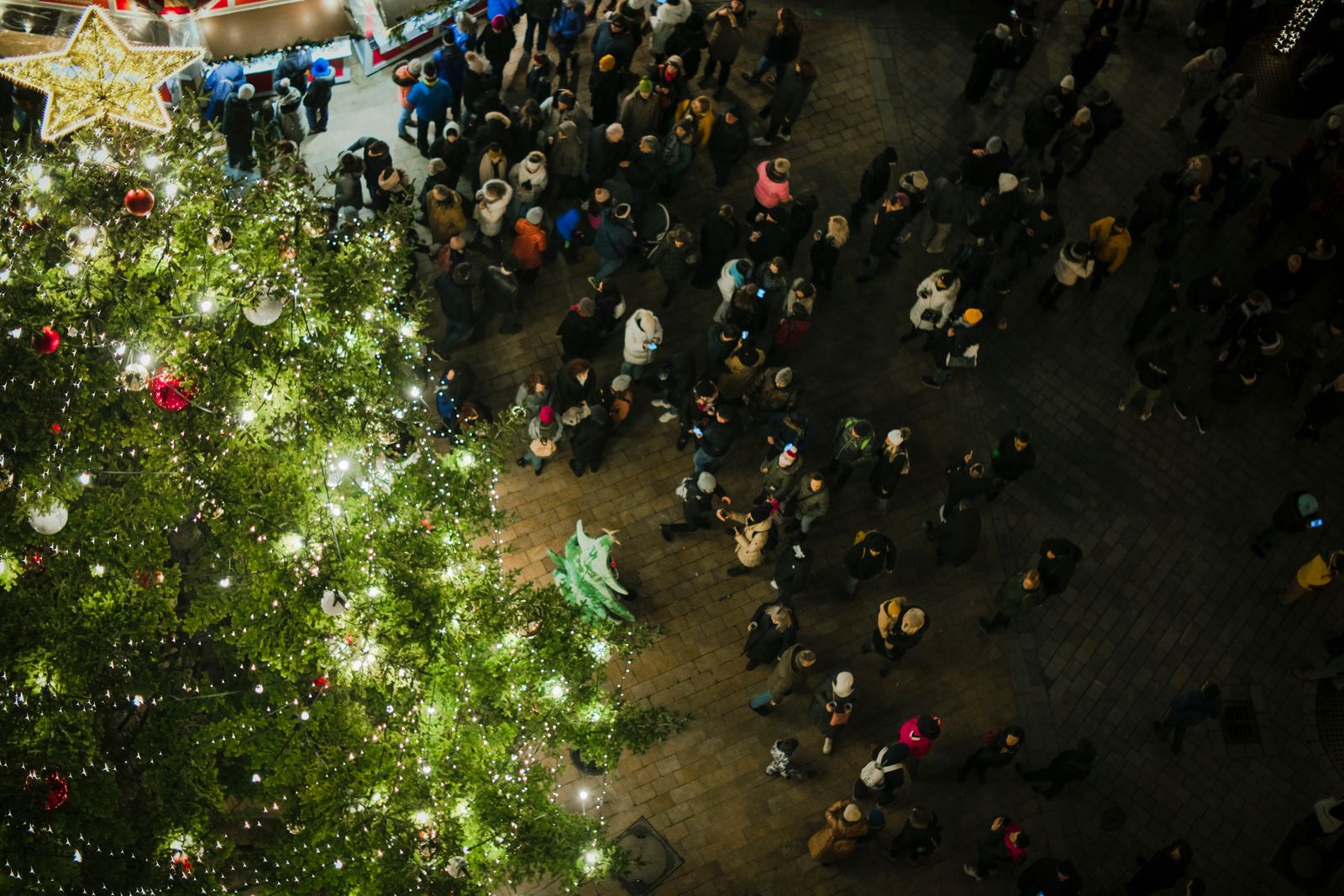 Crowded Christmas market in Bratislava with a large illuminated tree