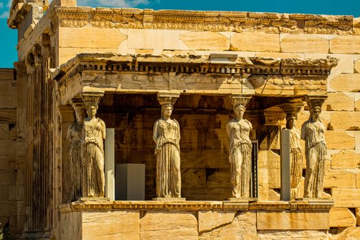 Acropolis Museum with an archaeologist — Athens