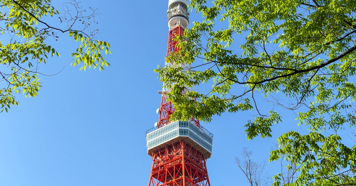 日本擬調漲訪日旅客出國稅,因應觀光公害問題