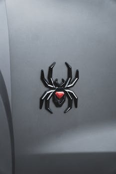 Close-up of a black widow spider emblem on a sleek gray car surface, black and red details.
