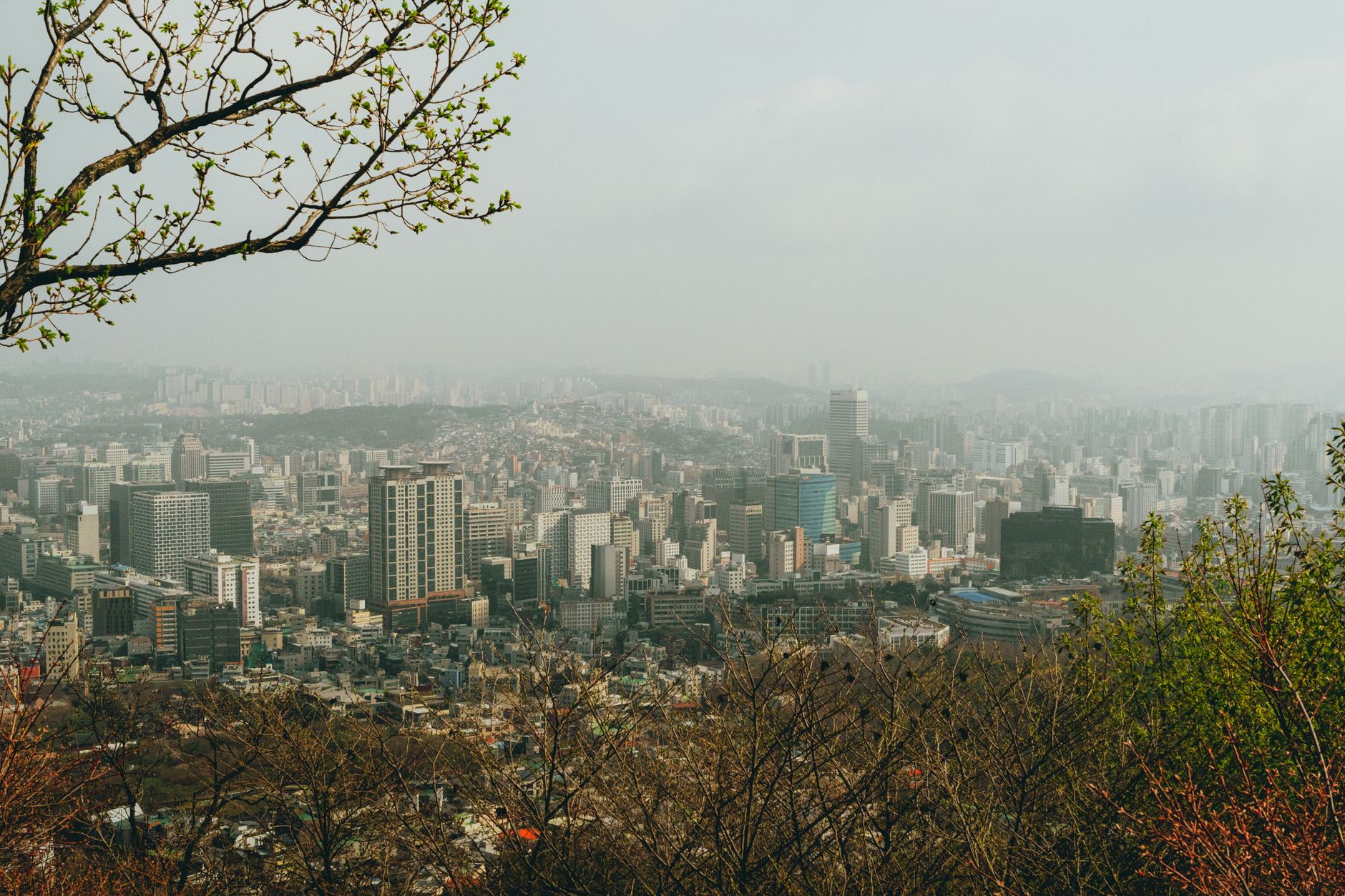 namsan seoul tower autumn foliage