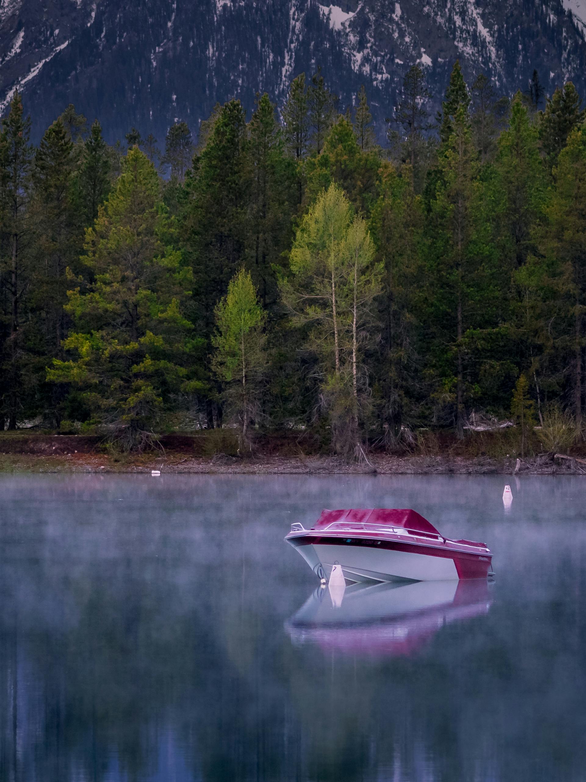 一艘红色的船静静地漂浮在朦胧的湖面上，湖的四周环绕着茂密的森林和雄伟的山脉