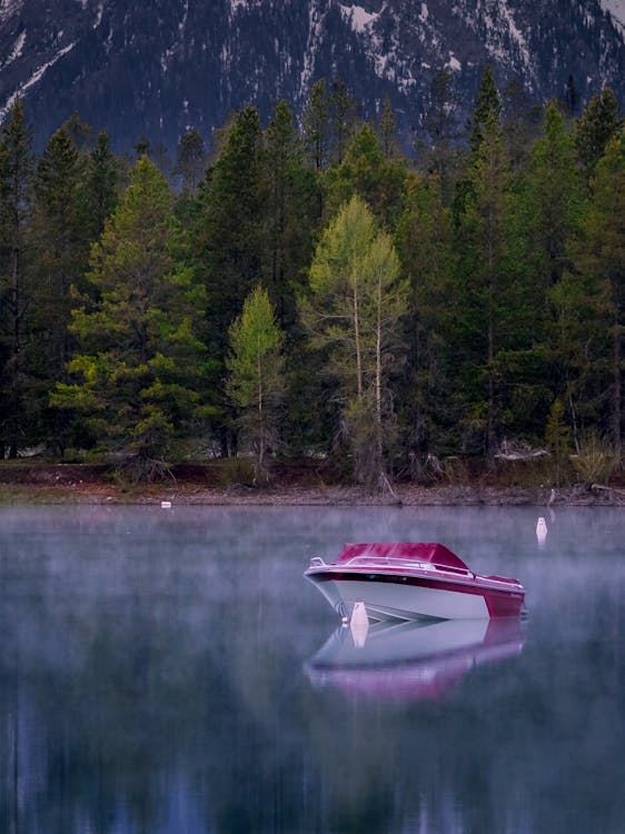 小船在平静的水面附近树木