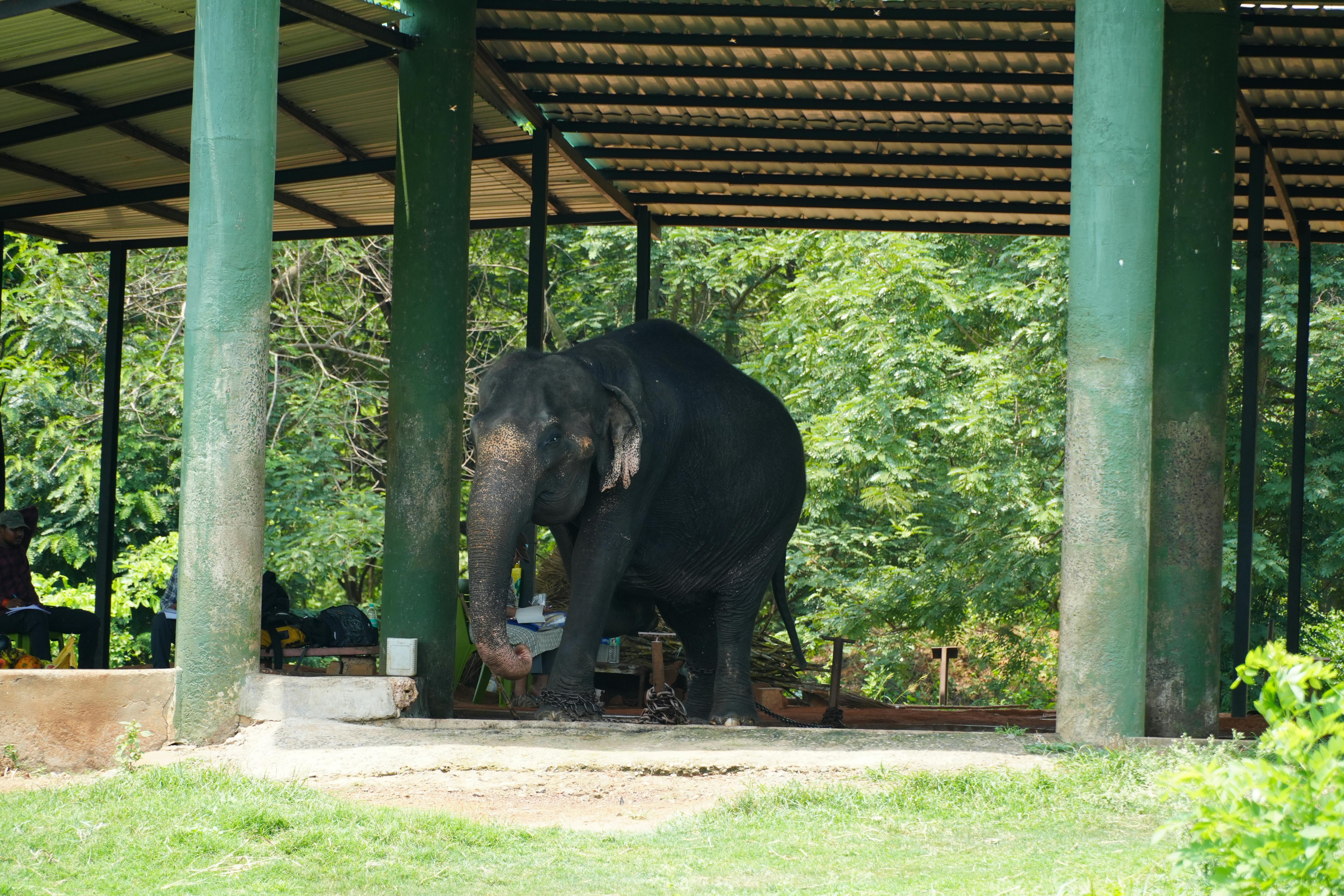 Cranberry Township park shelter reservation portal l…