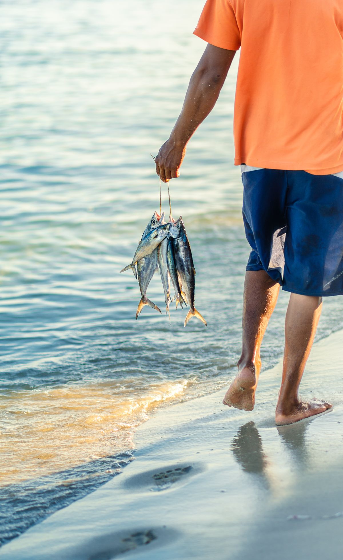 Carrying the day's catch along the shoreline