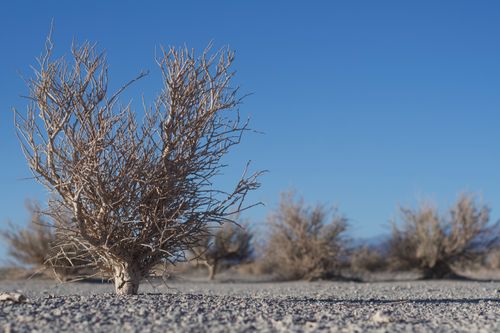 Free Desolate view of dry desert landscape with sparse vegetation in San Juan, Argentina. Stock Photo