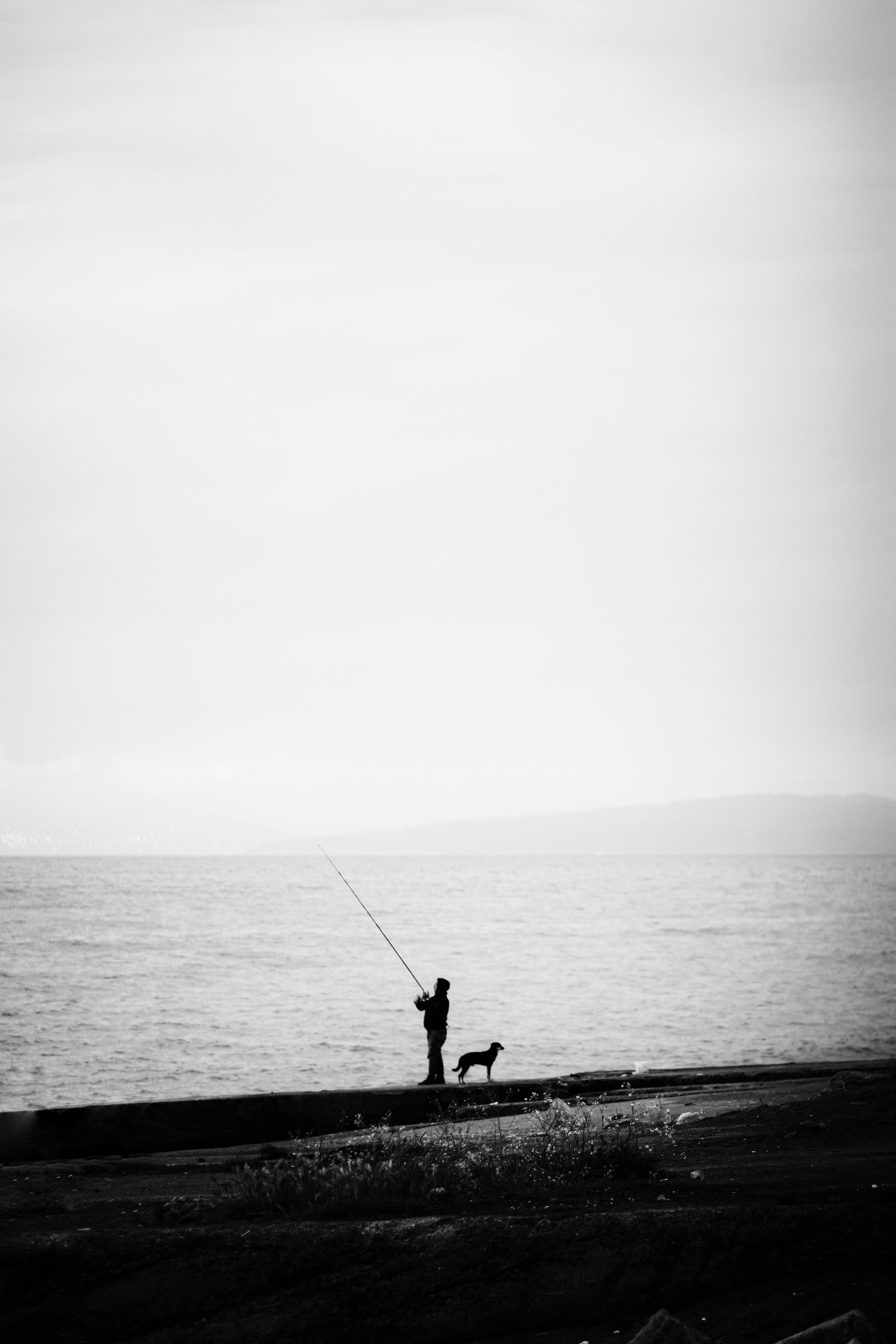 Gratuit O siluetă senină în alb și negru a unei persoane care pescuiește pe o plajă cu un câine la amurg. Fotografie de stoc