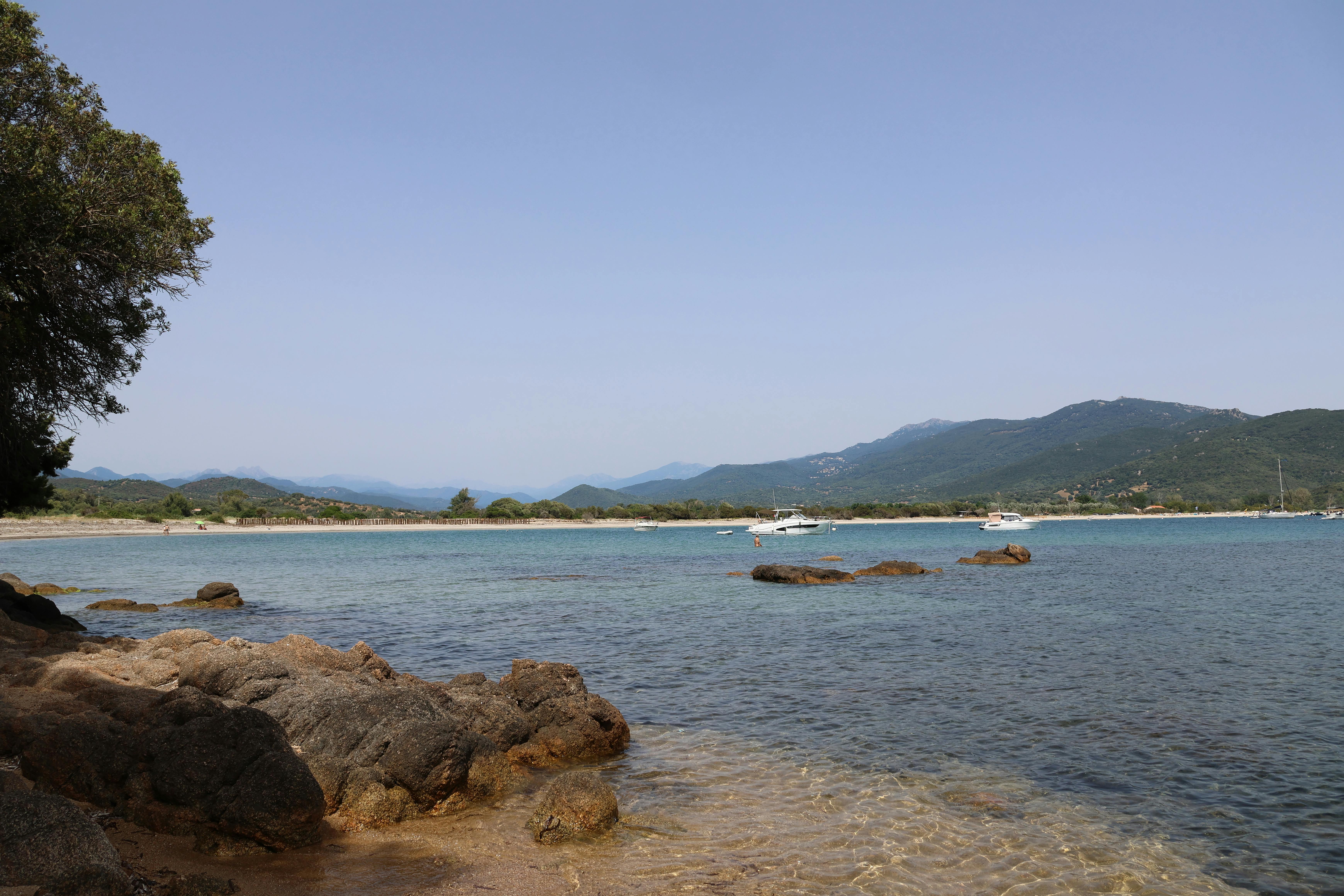 Les Meilleures Recettes de Plats Corses à Tester