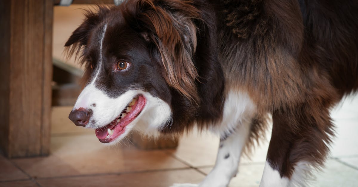南亞局勢升溫!印度禁止孟加拉從東北關隘輸入產品引關注