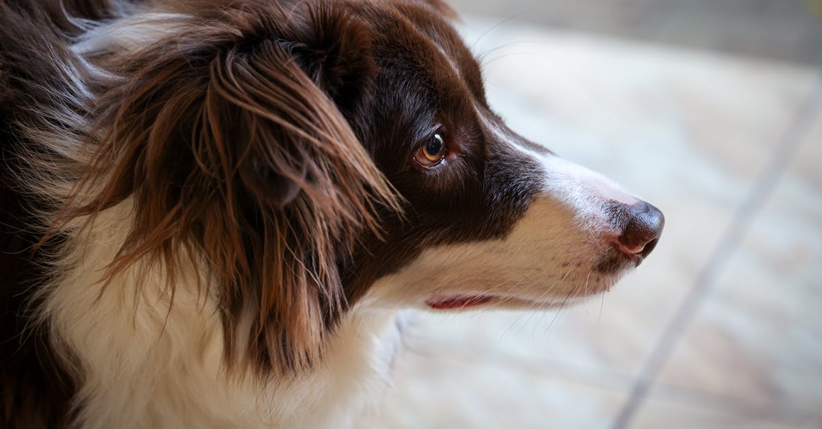 南亞局勢升溫!印度禁止孟加拉從東北關隘輸入產品引關注