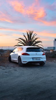 A white car parked near a palm tree with a colorful sunset sky in İzmir, Türkiye.