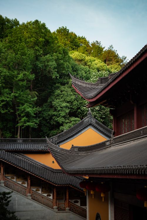 Free Beautiful traditional Asian temple with intricate roof, surrounded by lush forest greenery. Stock Photo