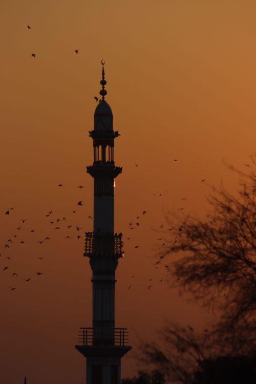 Free Silhouette of a mosque minaret surrounded by birds at sunset with an orange sky. Stock Photo