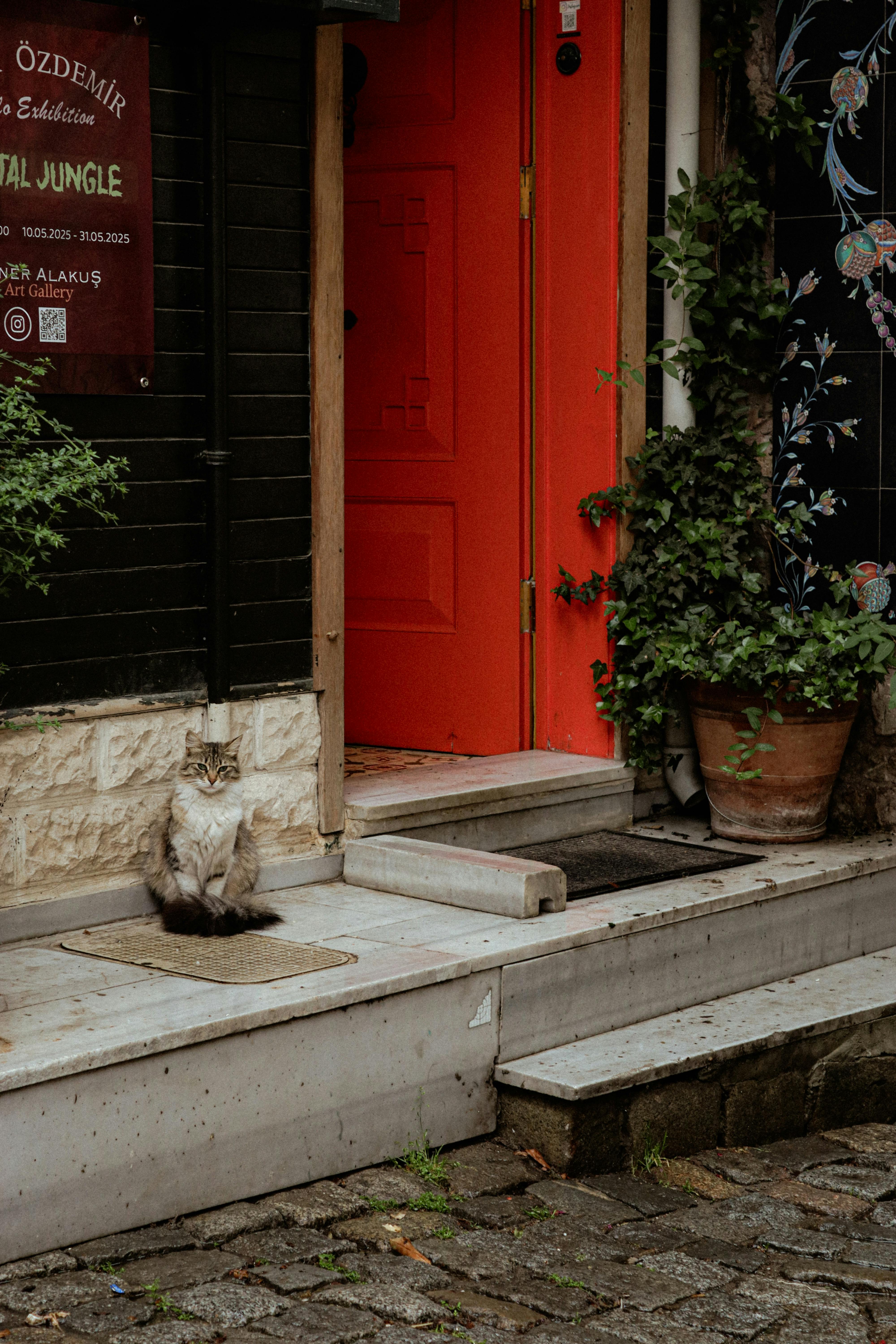 A cat sits near an orange door surrounded by plants in a quaint alleyway, embodying urban charm.