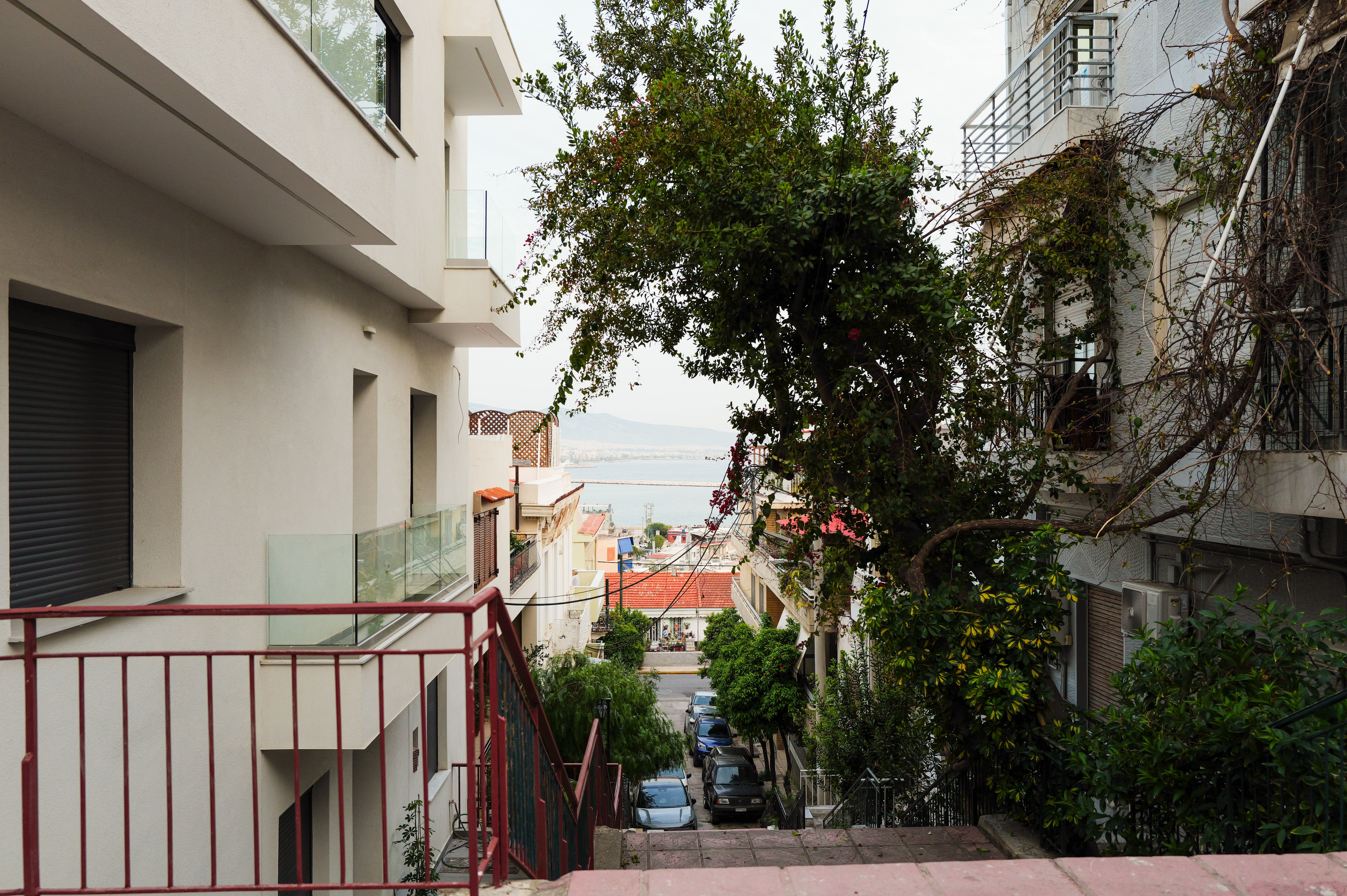 Charming urban residential street with lush greenery and a distant view of the sea on a bright day.
