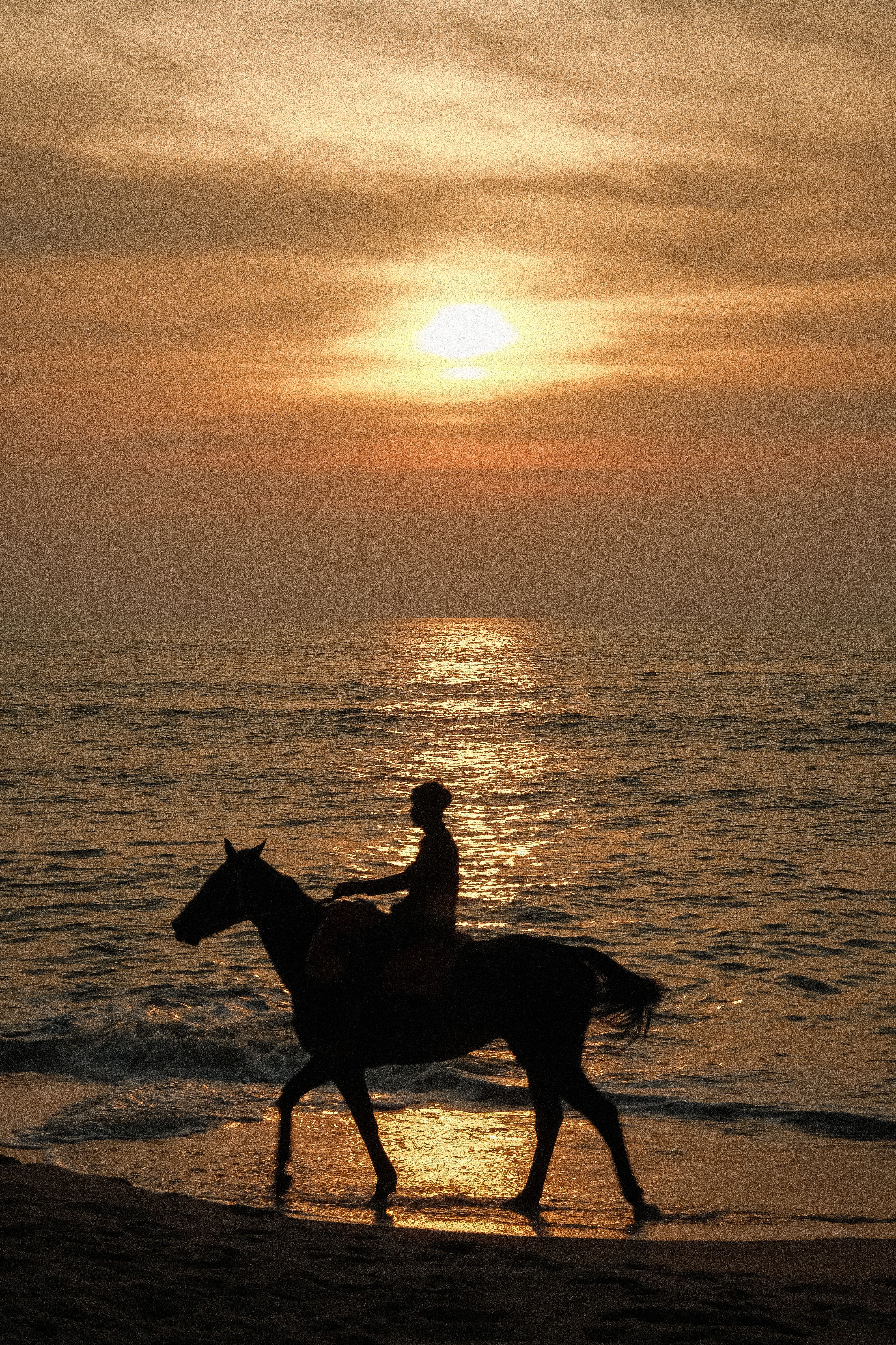 Woman Riding a Horse Along the Beach · Free Stock Photo
