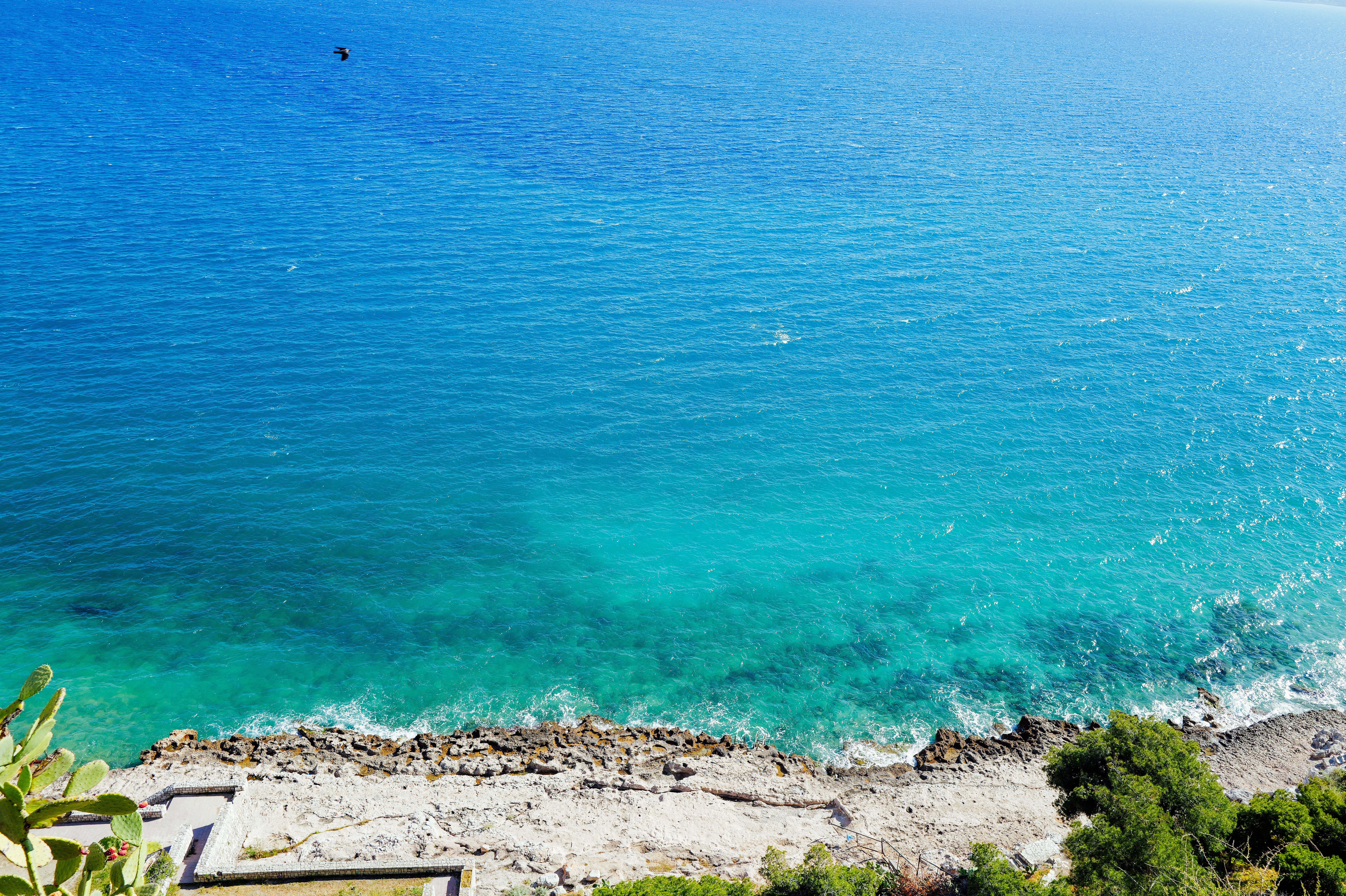 Stunning Aerial View of Vibrant Blue Coastal Waters · Free Stock Photo