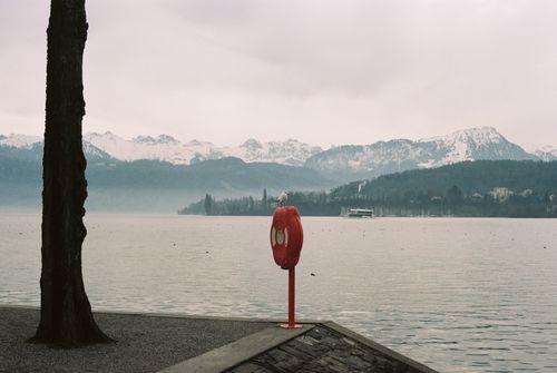 Free Calm view of a lake with Swiss Alps in the background and a seagull perched on a life preserver. Stock Photo