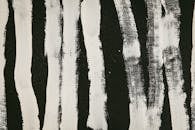 画布上，抽象绘画以大胆的黑白笔触呈现