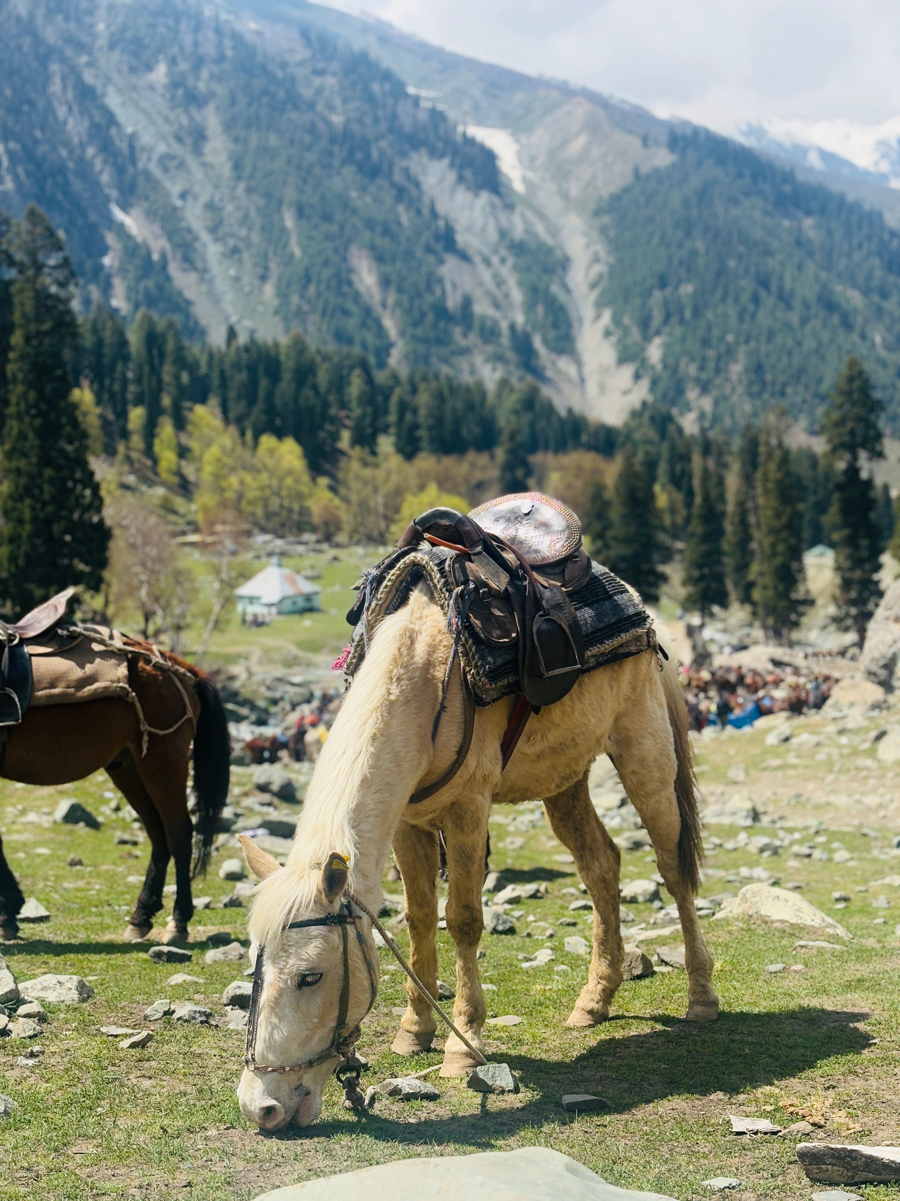 Group of hikers on a mountain trail enjoying scenic views