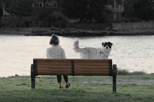 Free A serene moment of a woman and her dog on a park bench by the river at dawn. Stock Photo