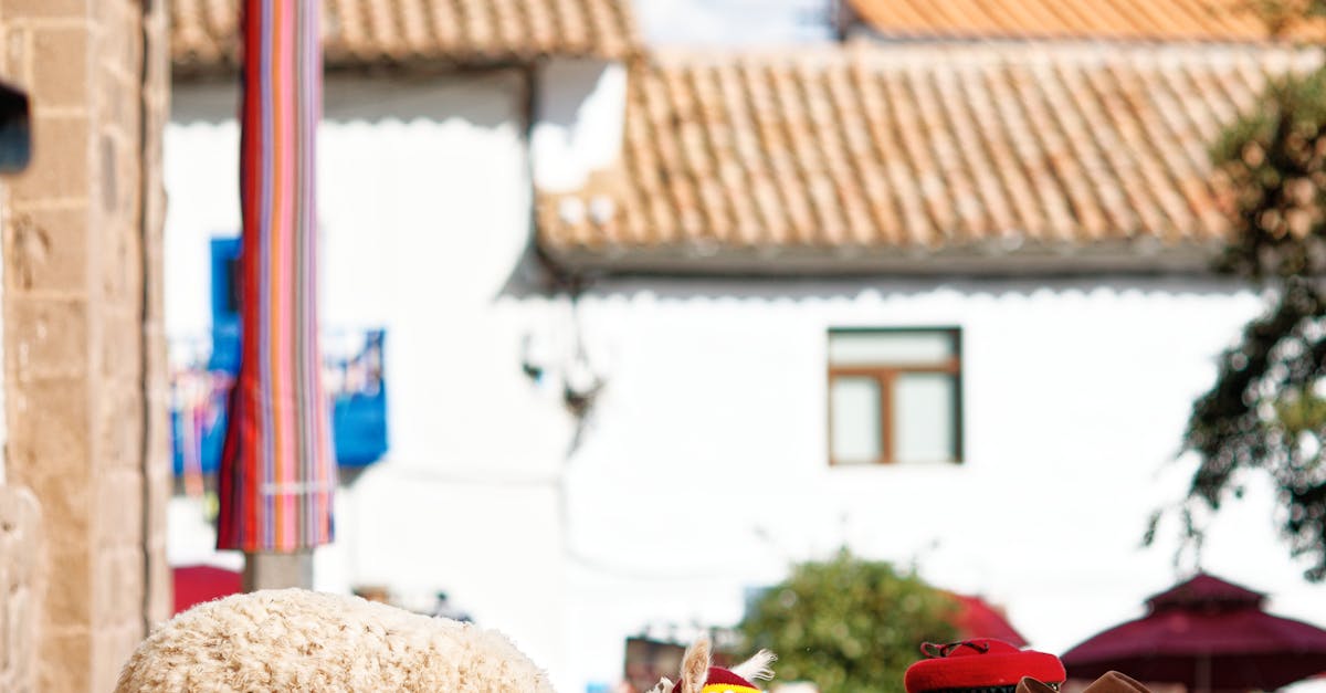 台北國際觀光博覽會5 23盛大開展 泰國觀光局推五大必體驗吸引遊客