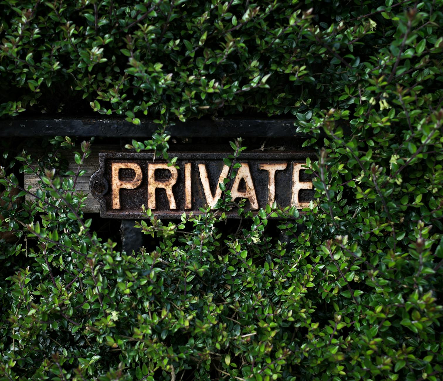 Private Browsers in 2025: The Persistent Gap Between Promise and Reality