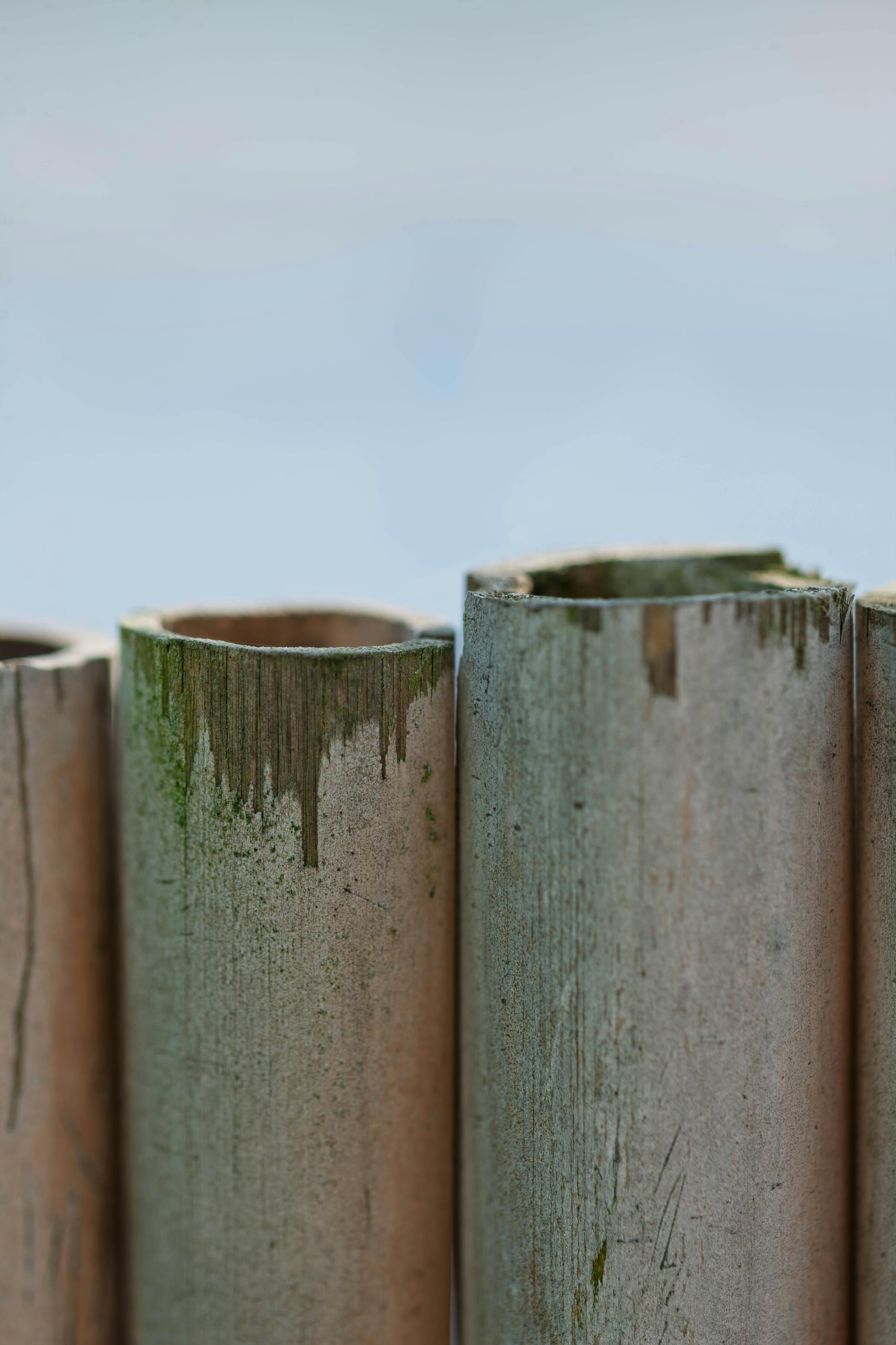 Transforma Tu Estilo de Vida: 5 Estrategias para Usar Chiquita en Tu Alimentación Diaria