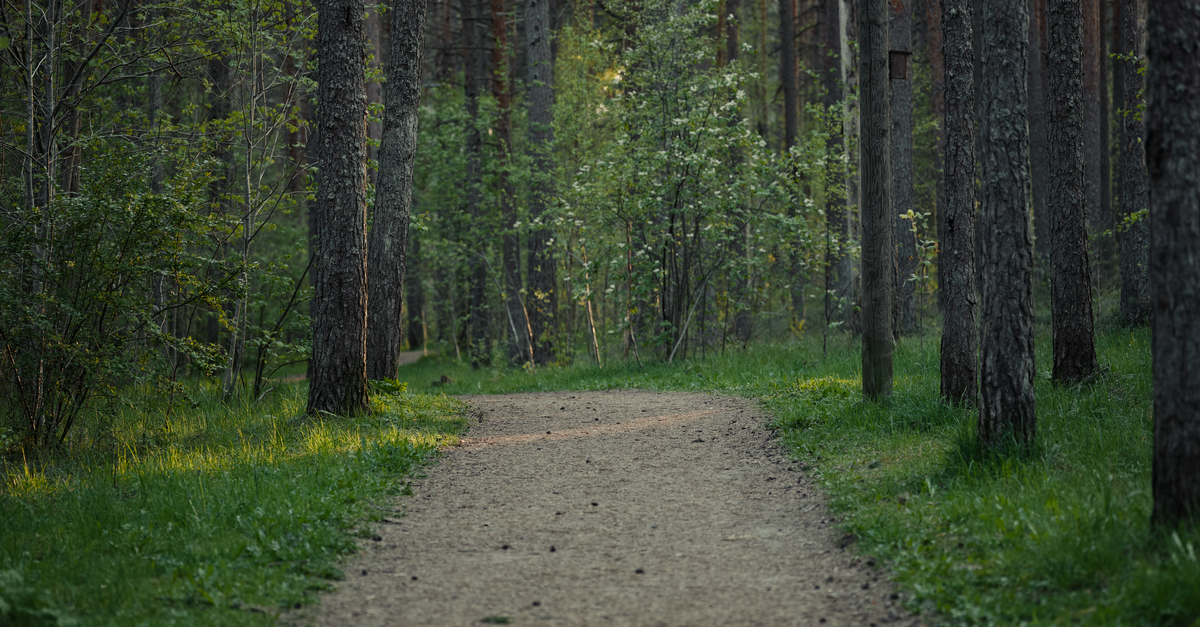A Green Escape in the Middle of the City: Elm Fork Nature Preserve This Summer