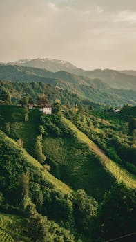 Picturesque view of terraced hills in Güvercinli, Artvin with sunset lighting and distant snowy peaks.