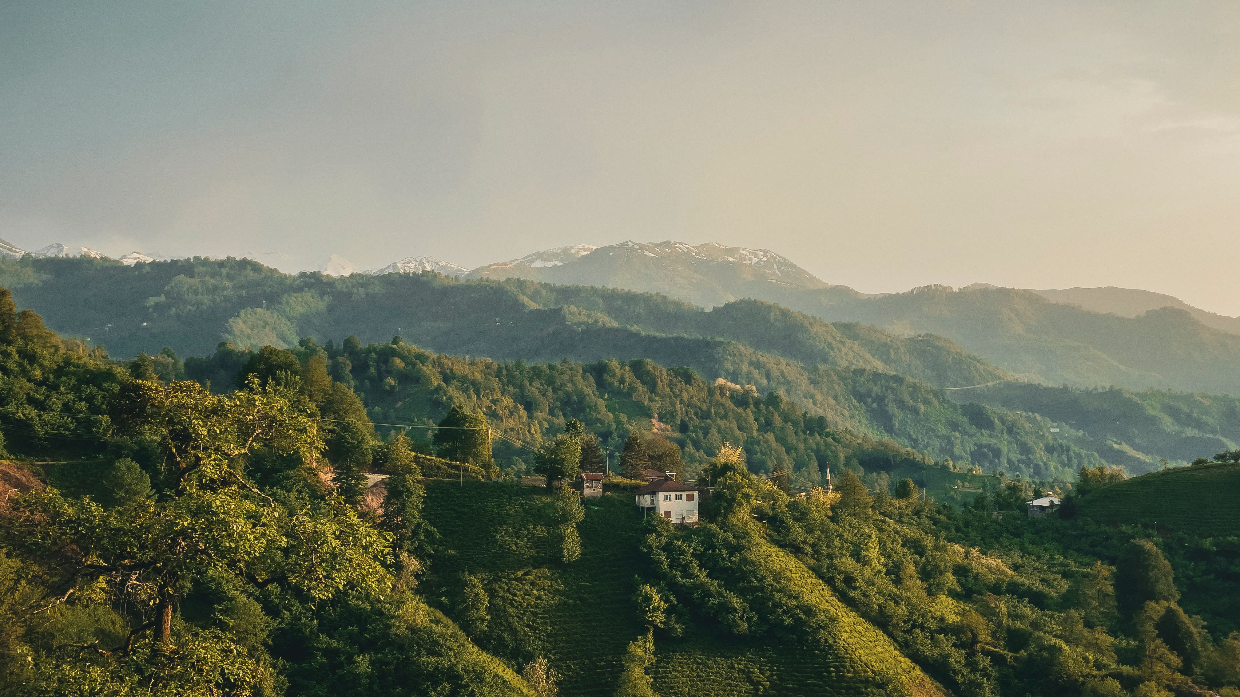 Yayla Molası