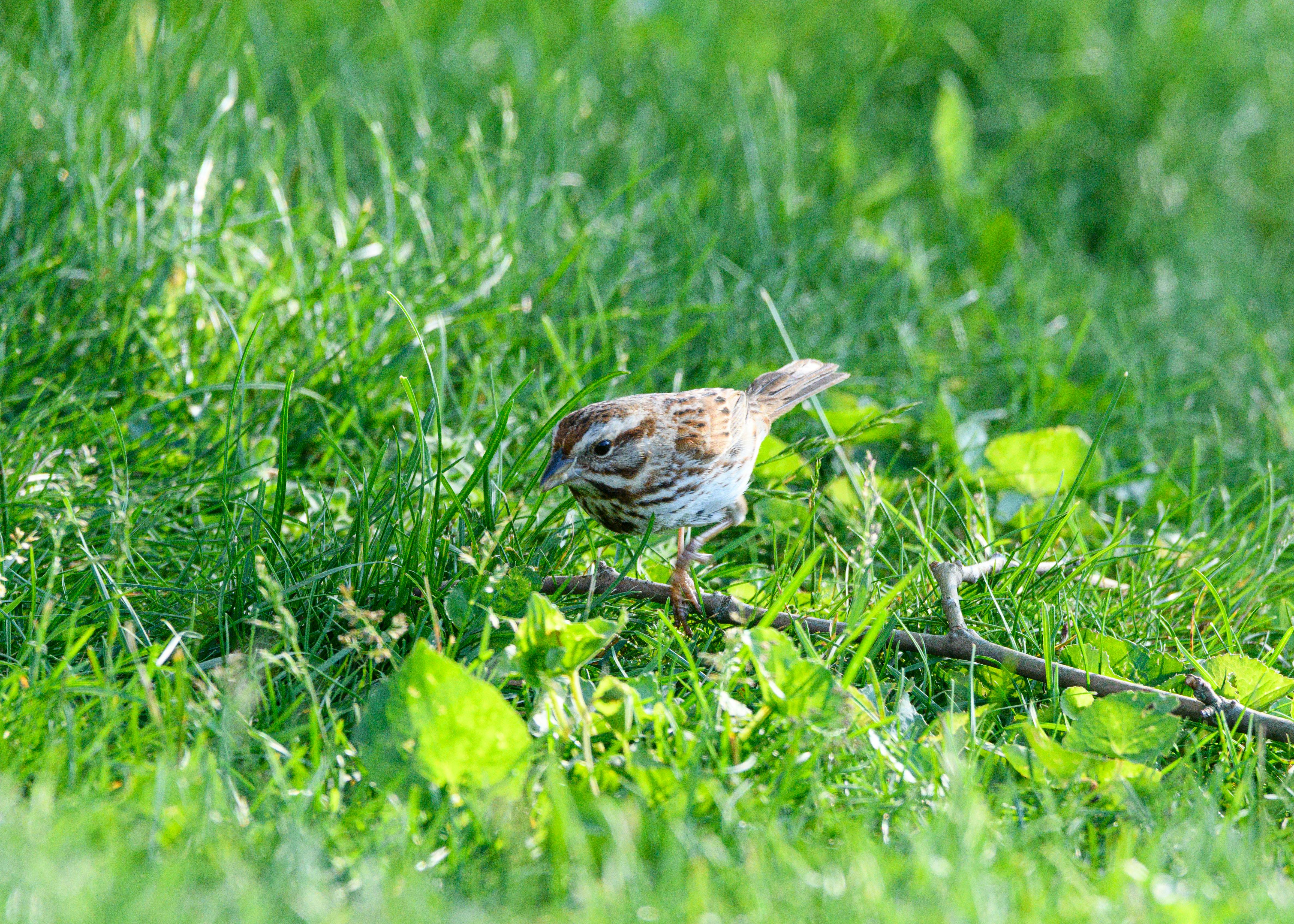 Les plus beaux villages du Perche : Votre guide pour une escapade authentique