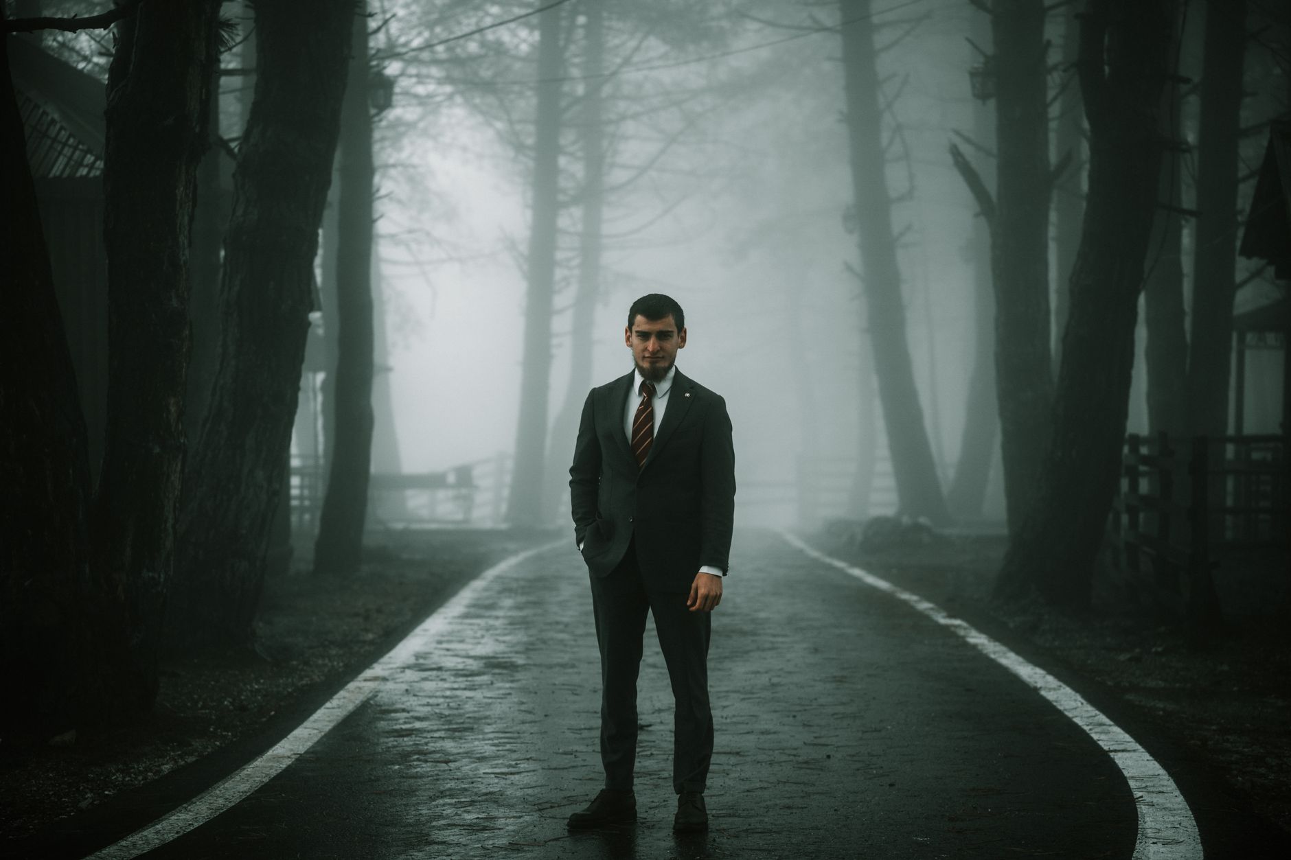 A solitary man in a suit stands on a foggy forest road, creating a moody atmosphere.